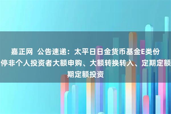 嘉正网  公告速递：太平日日金货币基金E类份额暂停非个人投资者大额申购、大额转换转入、定期定额投资