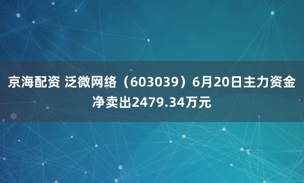 京海配资 泛微网络（603039）6月20日主力资金净卖出2479.34万元